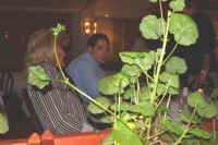 DCP_3100.JPG (1131998 Byte)
